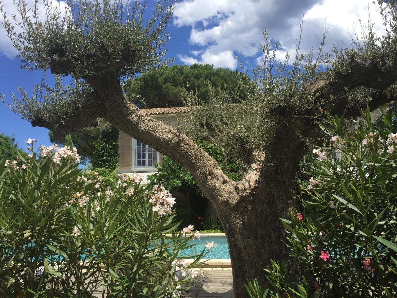 Villa La Begude - Boutique Luxury B&B Saint-Tropez Zewnętrze zdjęcie